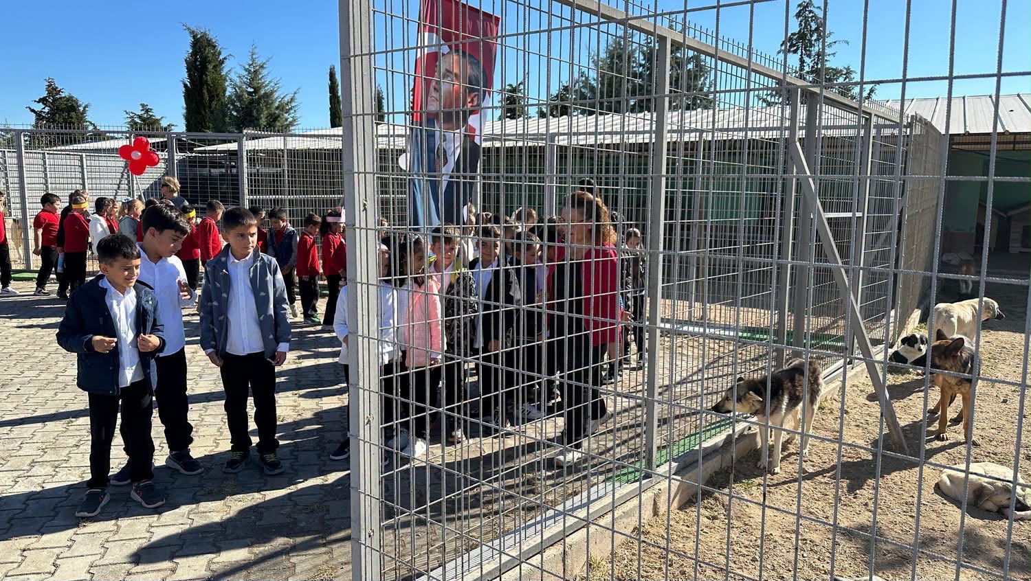 Dünya Hayvanları Koruma Günü Kapsamında Çocuklarımız ve Can Dostlarımızla Bir Araya Geldik — fotoğraf 3